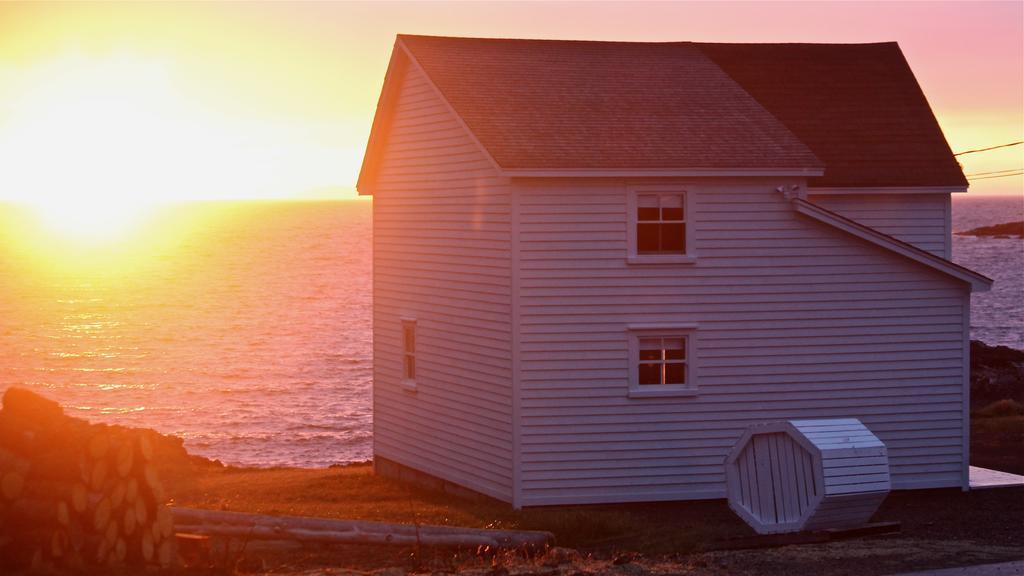 Fogo The Old Salt Box Co. - Grandma Lilly'Sヴィラ エクステリア 写真